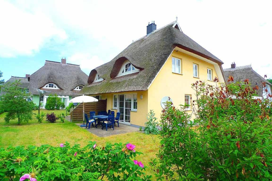 Ferienhaus An Der Alten Waldschaenke Ws-11A بون المظهر الخارجي الصورة